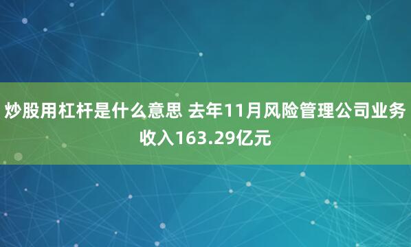 炒股用杠杆是什么意思 去年11月风险管理公司业务收入163.29亿元
