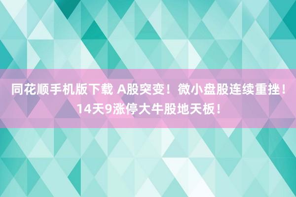 同花顺手机版下载 A股突变！微小盘股连续重挫！14天9涨停大牛股地天板！