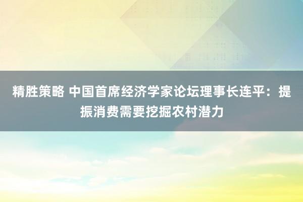 精胜策略 中国首席经济学家论坛理事长连平：提振消费需要挖掘农村潜力