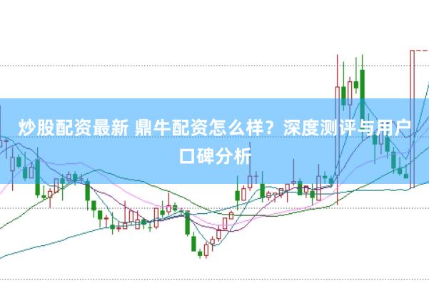 炒股配资最新 鼎牛配资怎么样？深度测评与用户口碑分析