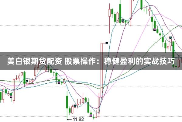 美白银期货配资 股票操作：稳健盈利的实战技巧