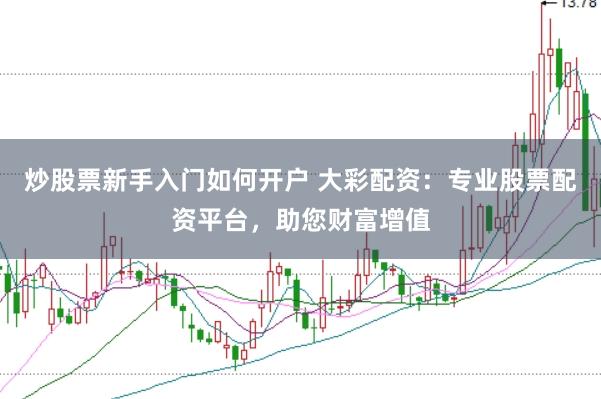 炒股票新手入门如何开户 大彩配资：专业股票配资平台，助您财富增值