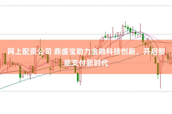 网上配资公司 鼎盛宝助力金融科技创新，开启智能支付新时代