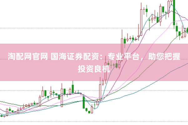 淘配网官网 国海证券配资：专业平台，助您把握投资良机