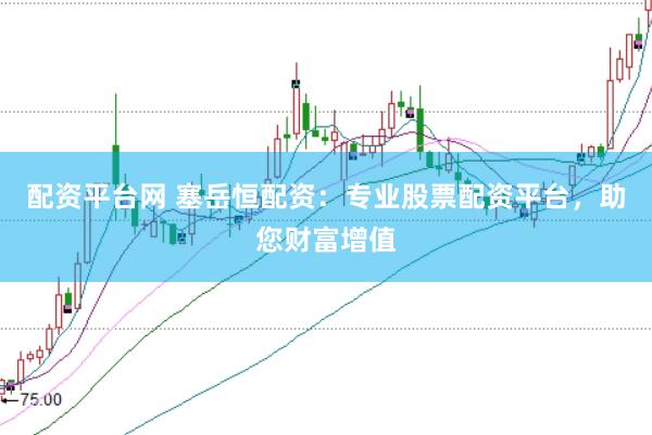 配资平台网 塞岳恒配资：专业股票配资平台，助您财富增值