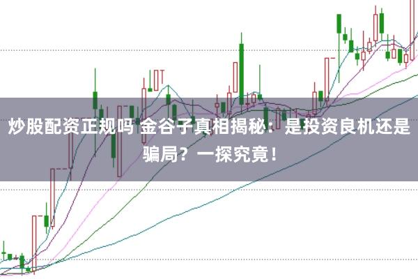 炒股配资正规吗 金谷子真相揭秘：是投资良机还是骗局？一探究竟！
