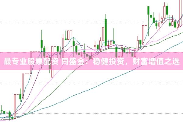 最专业股票配资 同盛金：稳健投资，财富增值之选