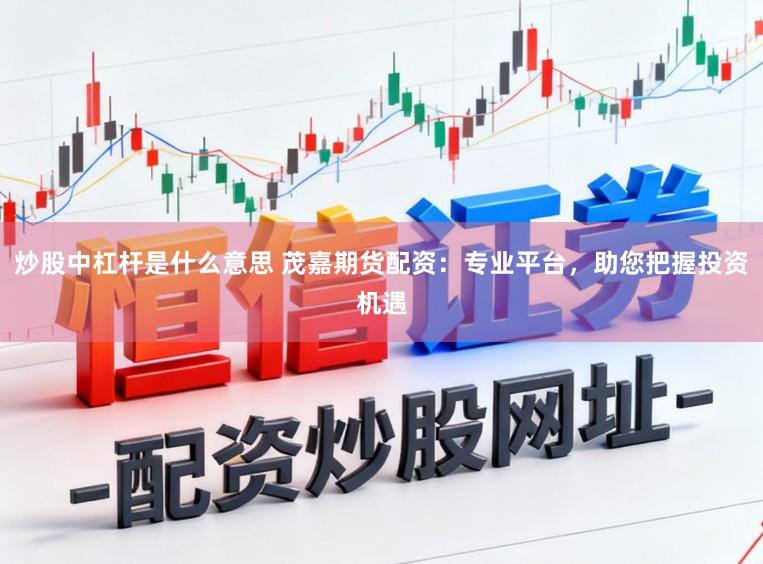 炒股中杠杆是什么意思 茂嘉期货配资：专业平台，助您把握投资机遇