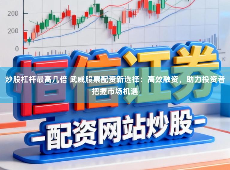 炒股杠杆最高几倍 武威股票配资新选择：高效融资，助力投资者把握市场机遇