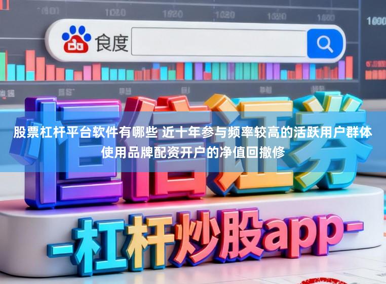 股票杠杆平台软件有哪些 近十年参与频率较高的活跃用户群体使用品牌配资开户的净值回撤修