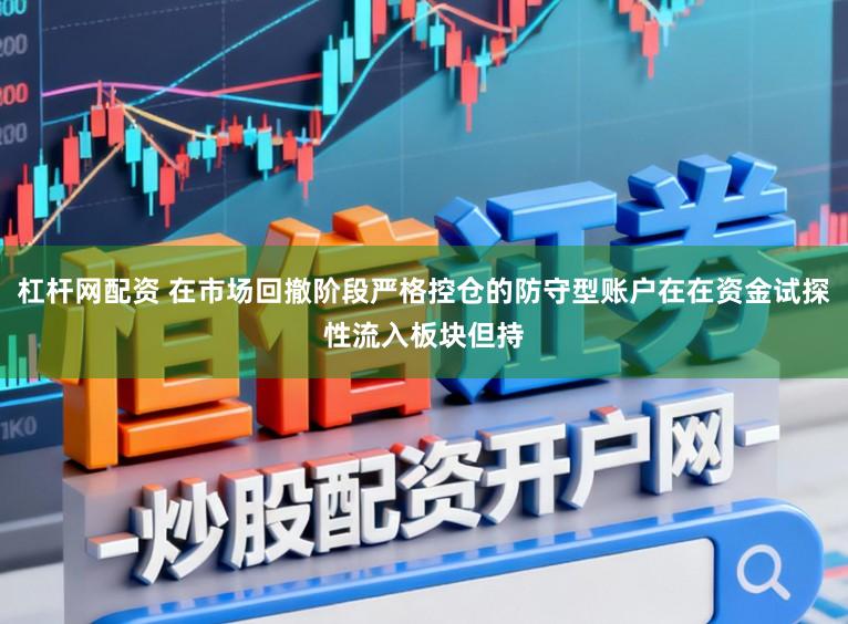 杠杆网配资 在市场回撤阶段严格控仓的防守型账户在在资金试探性流入板块但持