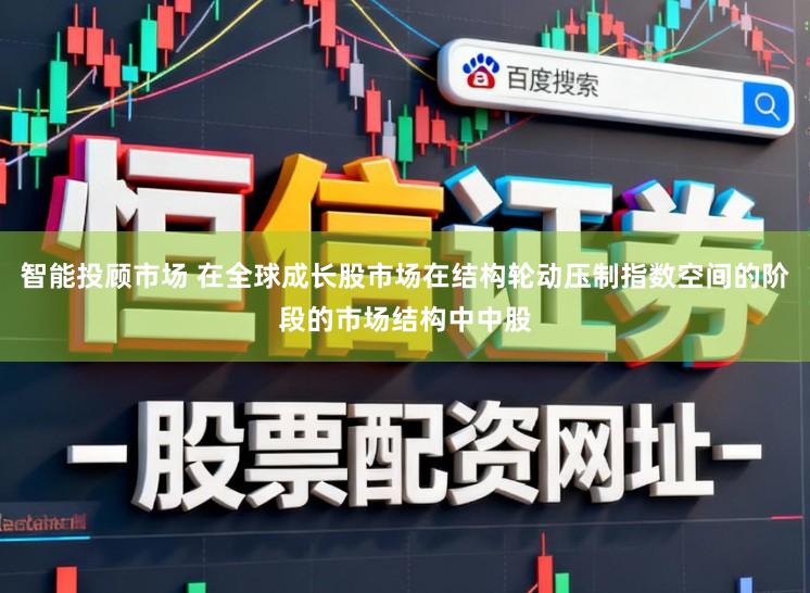 智能投顾市场 在全球成长股市场在结构轮动压制指数空间的阶段的市场结构中中股