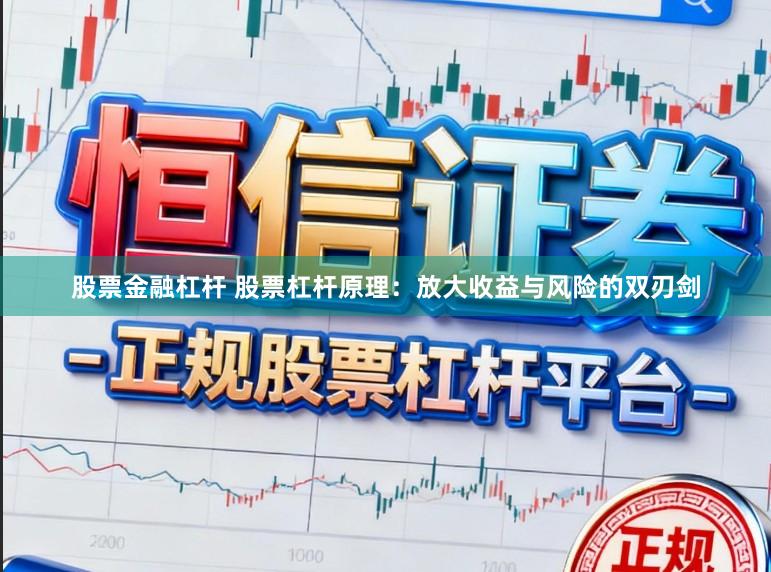 股票金融杠杆 股票杠杆原理：放大收益与风险的双刃剑